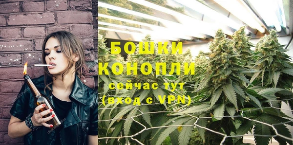 прущая мука Бородино